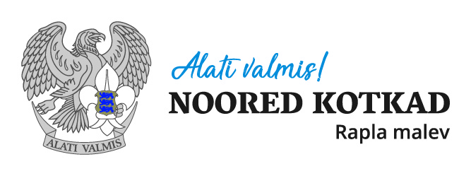 Noored Kotkad logo