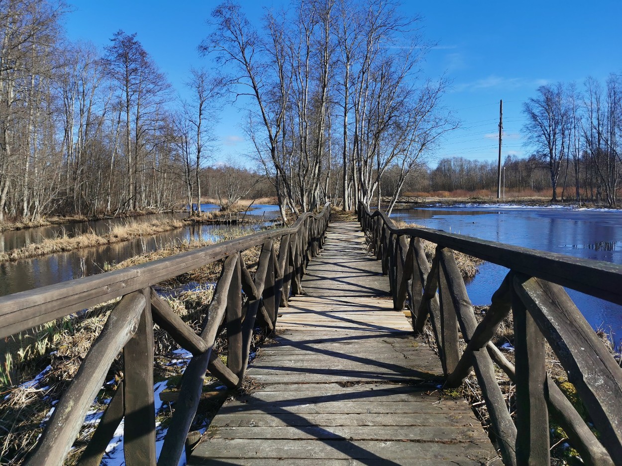 Vesiroosi tervisepark